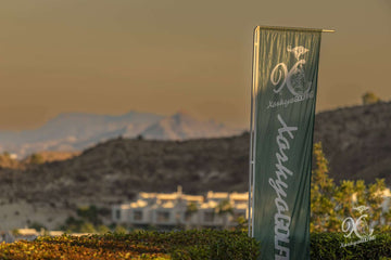 Torneo de la Font del Llop, Alicante
