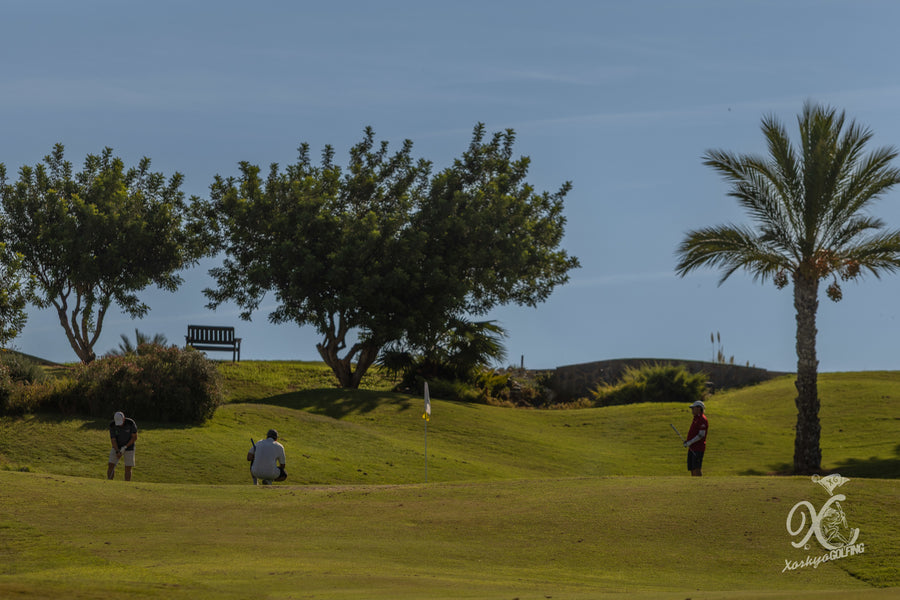 Torneo de la Font del Llop, Alicante