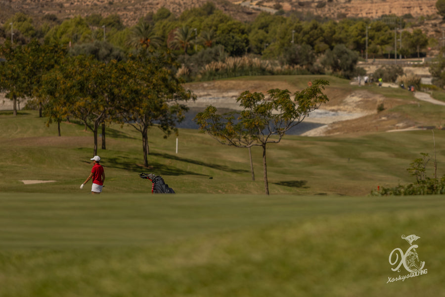 Torneo de la Font del Llop, Alicante